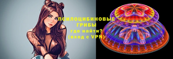дмт Медвежьегорск