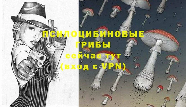 дмт Медвежьегорск