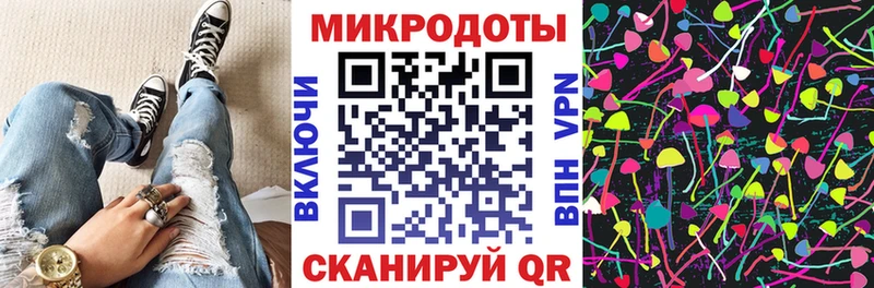Псилоцибиновые грибы Cubensis Александровск-Сахалинский